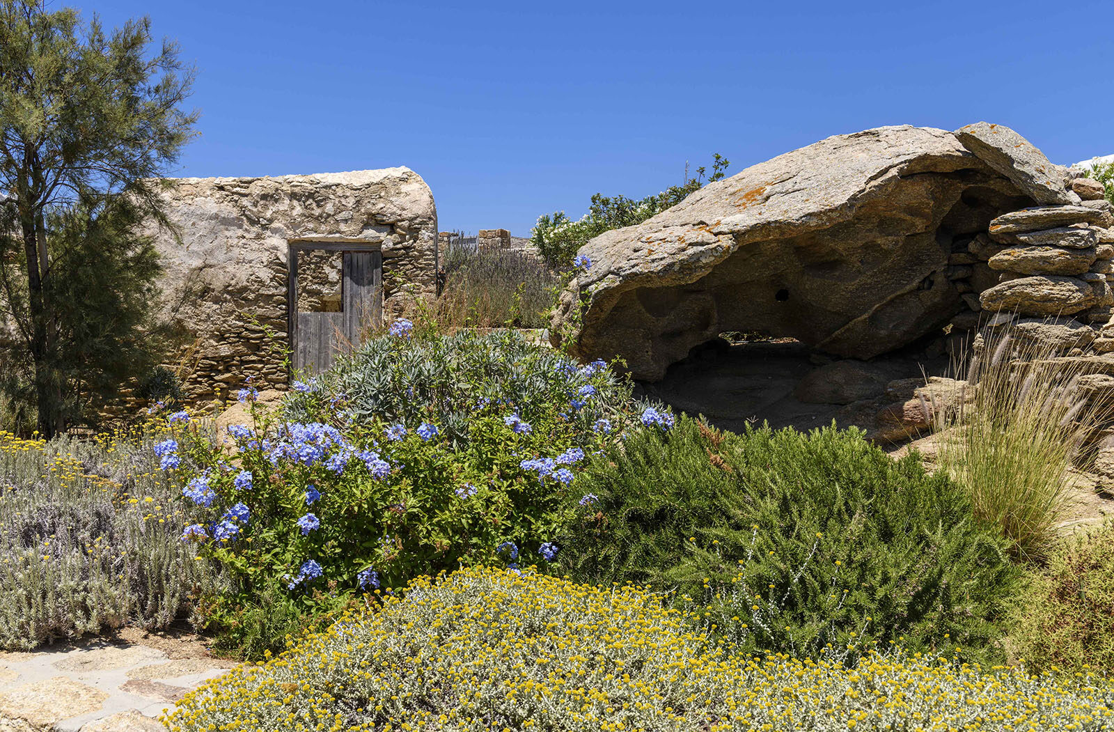 Villa Tagoo 