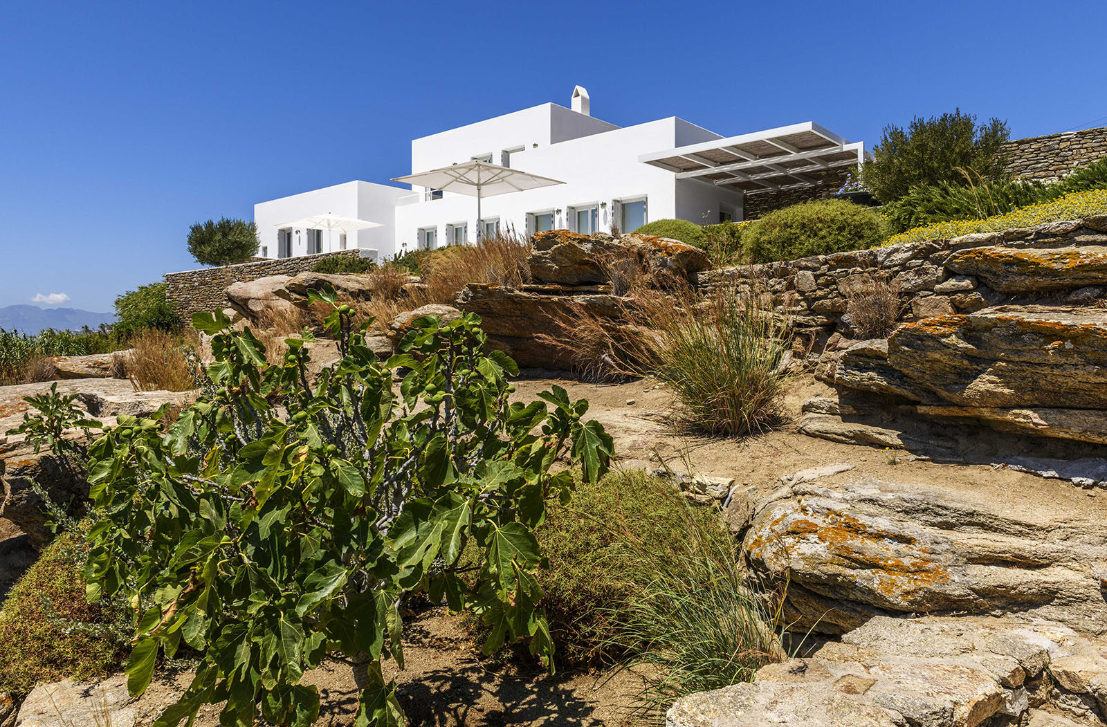 Villa Tagoo 